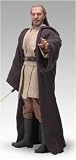 Qui-Gon Jinn Star Wars Order of the Jedi 12