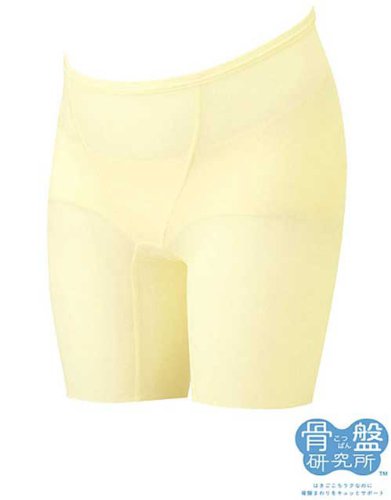 ���Ռ����� �Y�O�p�{�g�� MGP101 L CR