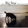 A Tribute to Big Star