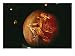 Jack-O-Lantern with an Ornate Carved Decoration of a Witch, Halloween Photographic Poster Print by Richard Nowitz, 24x18