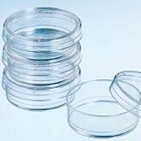 BD Falcon* Standard Tissue Culture Dishes 100 dia. x 20mm H [ 1 Pack(s)]