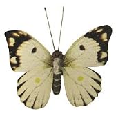 BUTTERFLY MAGNET 3P/SET〔バタフライ マグネット〕 4 ホワイト