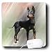 Dogs Manchester Terrier - Manchester Terrier - Mouse Pads