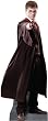 Harry Potter (Harry Potter and the Half-Blood Prince) Life-Size Standup Poster
