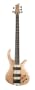 Schecter RIOT-5  Bass (Natural Satin Burl)