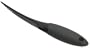 OXO Good Grips Shrimp Cleaner