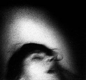 CD-Charts  Search : Telegraphs in Negative/Mouths Trapped in Static [VINYL]