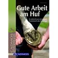 Gute Arbeit am Huf: So erkennt man einen guten Hufschmied oder Hufpfleger