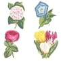 Wallies Wallpaper Cutouts (25 Anna Griffin Decoupage Florals Wallies)