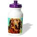 dachshund38 - Dogs Dachshund Dachshund Water Bottles
