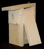 Coveside Economy Bluebird House