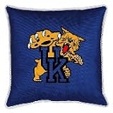Floor Pillow 22x22 SideLines Kentucky Wildcats