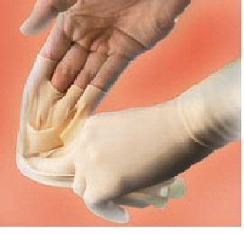 Ansell Perry Powder Free Latex Sterile Surgical Gloves,Case of 200 Pairs,7,PRD8604