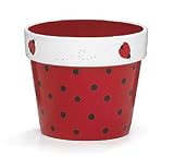 Red Ladybug Clay Flower Pot/Planter Flower Pot Home Decor