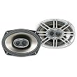 Polk Audio DB691 6-by-9-Inch 3-Way Speakers (Pair, Silver)