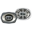 Polk Audio DB691 6-by-9-Inch 3-Way Speakers (Pair, Silver)