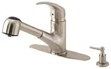 DANZE FAUCETS #D456113SS SS Pull Out Euro Spout