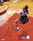 Francis, Steve (Houston Rockets) Autographed/Hand Signed 8x10 Photo