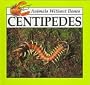 Centipedes (Animals Without Bones)