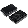 TechFuel&reg; Battery for Sanyo Xacti VPC-WH1 Camcorder