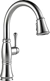 Delta Faucet 9197-AR-DST Cassidy, Single Handle Pull-Down Kitchen Faucet with Magnetic Docking, Arctic Stainless