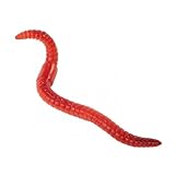Insect Lore Earthworm Life Cycle Stages
