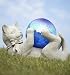 turkish van - Tropix Cat Gazing Ball