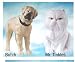 Burger King Kids Meal Cats & Dogs The Revenge of Kitty Galore Butch & Mr. Tinkles Toys 2010