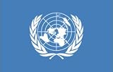 BIG UNITED NATIONS UN INTERNATIONAL ORGANIZATION FLAG