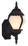 Marbleized Glass 1 Light Wall Lantern#8211; Black