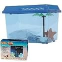 Hermit Crab Little Crab Kit