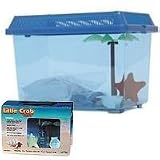 Pet Supplies : Hermit Crab Little Crab Kit