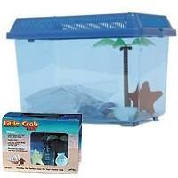 Hermit Crab Little Crab Kit