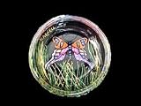 Butterfly Meadow Design - Hand Painted - Coaster - 3.75 inch diameter