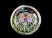 Butterfly Meadow Design - Hand Painted - Coaster - 3.75 inch diameter