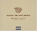 Painting the Town Brown. Ween Live 90-98