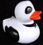 Panda Bear Rubber Ducky