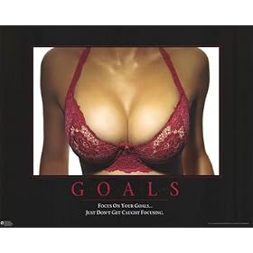 Goals HUGE BOOBS Motivational College POSTER Funny Pule - 24