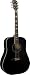 Alvarez AD4104BK Artist Series Dreadnought Acoustic Guitar, Black
