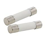 uxcell セラミック ヒューズ6x30mm 250V 10A シリンダー 接触 キャップ 100本