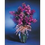 Flower of the Month Club