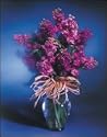 Flower of the Month Club - 3 months