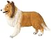 COLLIE by Safari, Ltd