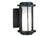 Kenroy Home 80570EBZ Lumi One-Light Small Wall Lantern with 3-Inch Frosted Opal Glass Shade