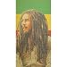 Bob Marley - Bamboo Roll Up Blinds