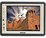 PYLE PLVS-HR6 6-Inch Color Tft/LCD Monitor with Headrest Frame and Stand Bracket
