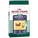 Pet Supplies : Royal Canin Mini Breed Chihuahua (28) (10-lb bag)