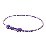 Eagles Wings Minnesota Vikings Titanium Necklace
