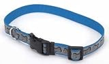 Lazer Brite Adj Reflect Collar Lg 1 Turq With Bones