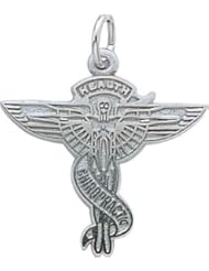 Rembrandt Charms Chiropractor Charm